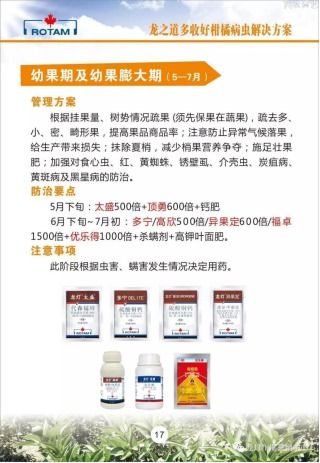 龍燈化學 深耕農業，以技術推廣服務為農賦能